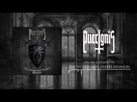 Miniatura de Puerignis: The Wolves and Snakes Reunion (Music Visualizer)