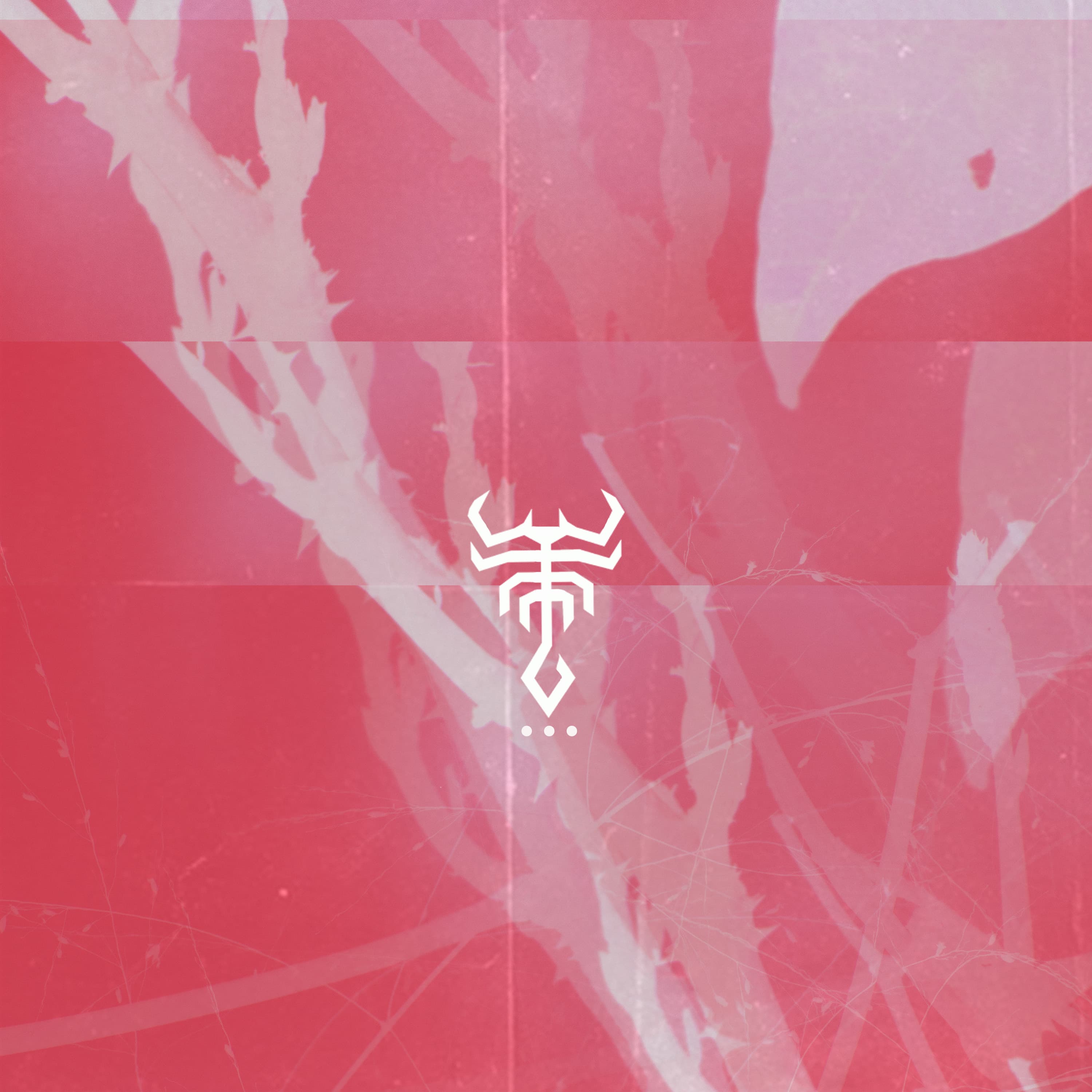 Capa de Anima